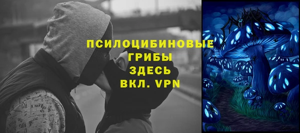 мдпв Богданович