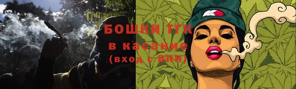 mix Богородицк