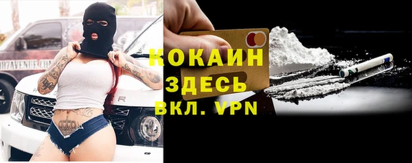 мдпв Богданович