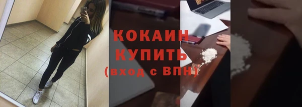 mix Богородицк