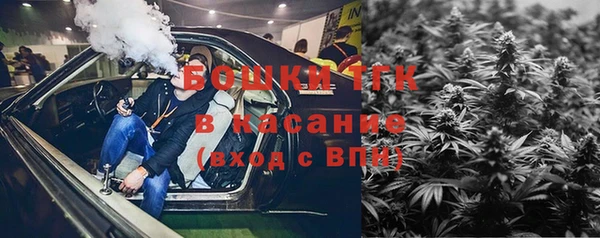 мдпв Богородск
