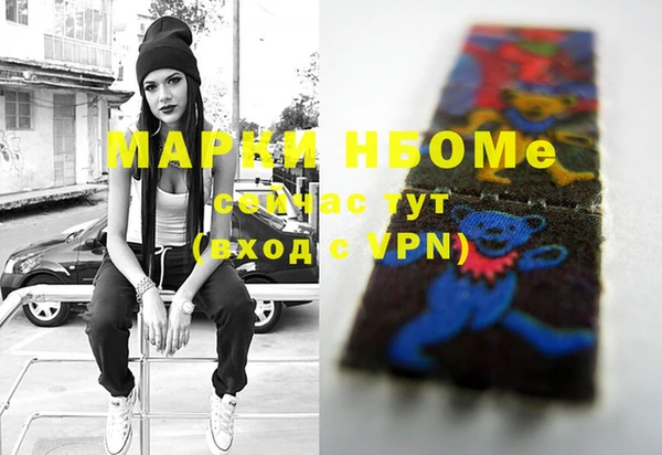 мдпв Богородск