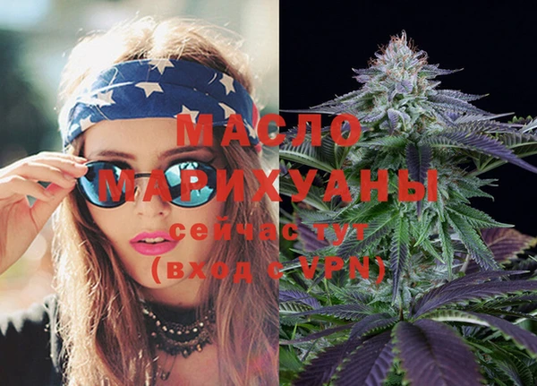 mix Богородицк