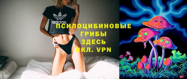 mix Богородицк
