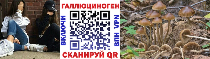 Галлюциногенные грибы Magic Shrooms  ОМГ ОМГ маркетплейс  Северская 